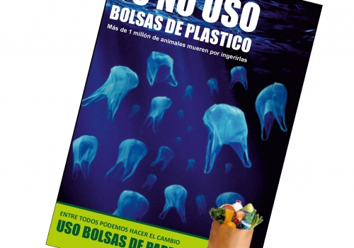 CLIENTE 13